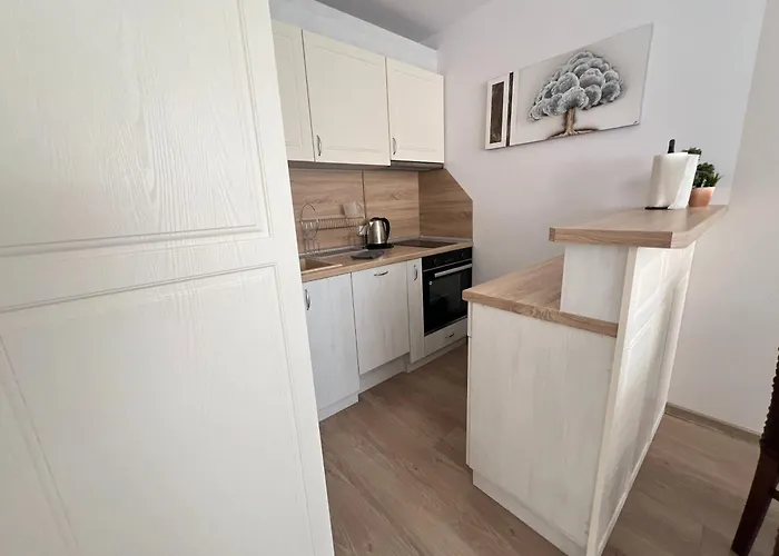 Okolchitsa - Stylish And Cozy ヴァルナ