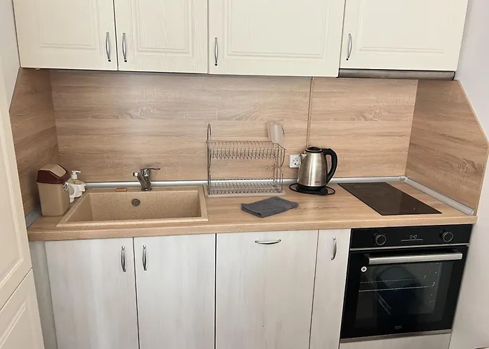 Okolchitsa - Stylish And Cozy * Warna