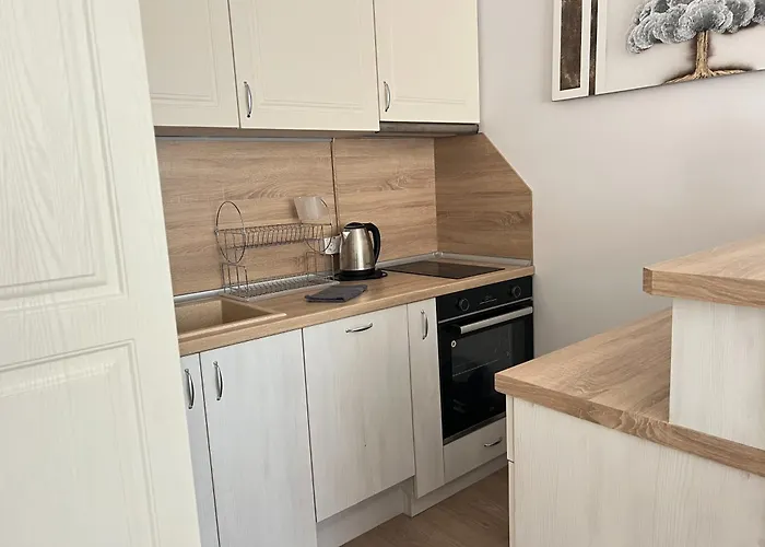 Okolchitsa - Stylish And Cozy *