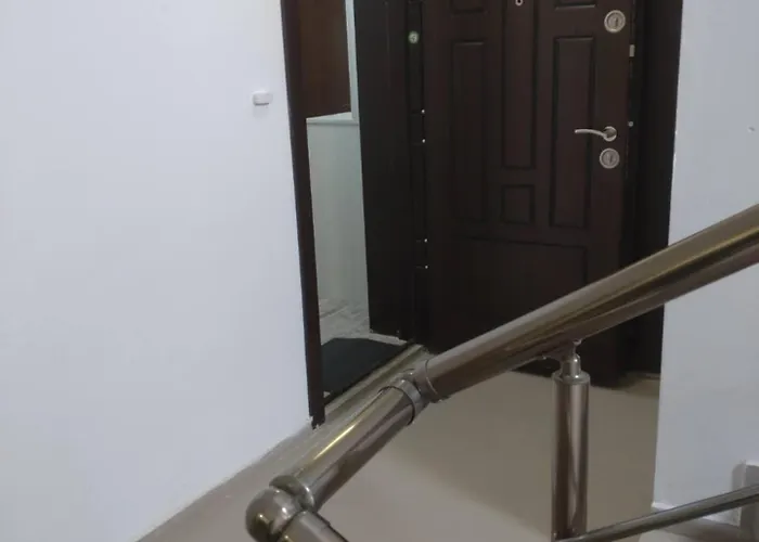 Okolchitsa - Stylish And Cozy *